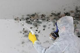 Best Commercial Mold Inspection  in Ramsey, NJ